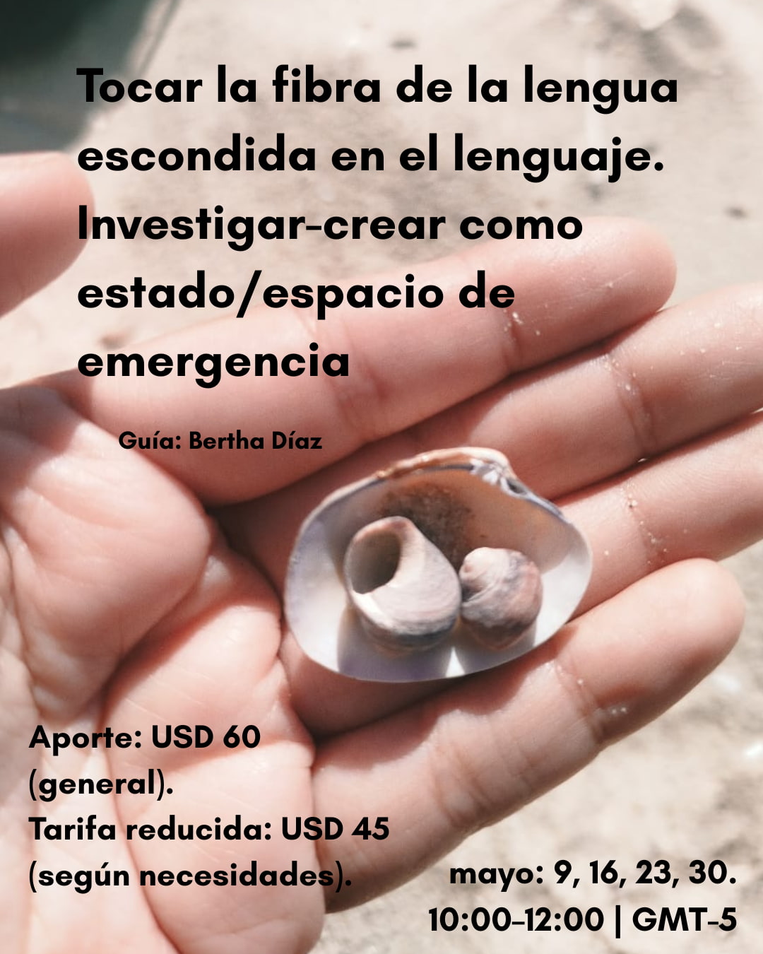 Afiche del seminario-laboratorio